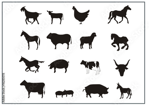 Tiere der Landwirtschaft