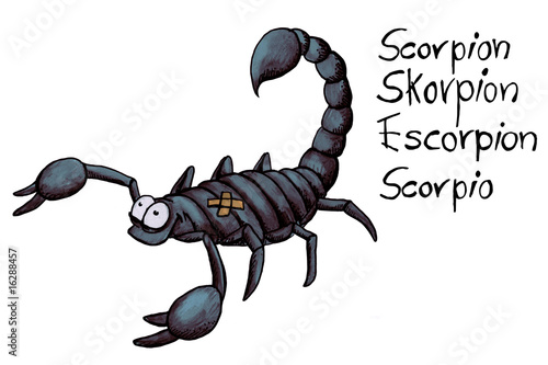 Scorpion, Skorpion, Escorpion, Scorpio photo