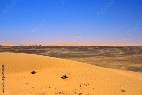Edge of Sahara desert