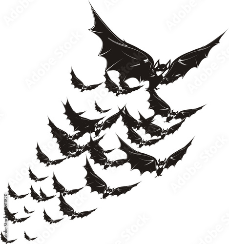 bats