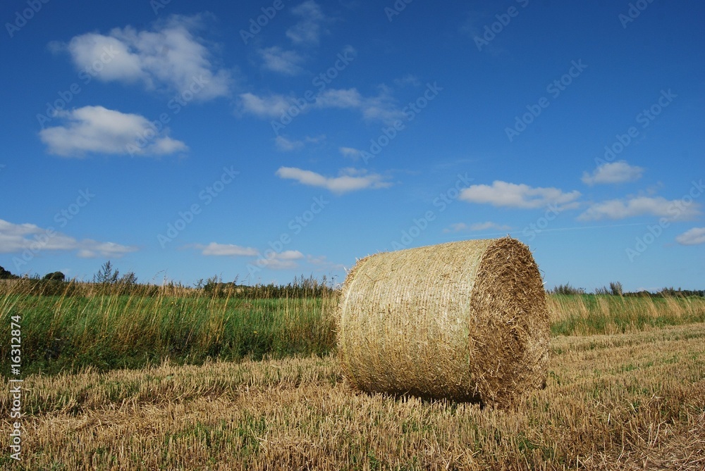 Single bale of straw in a farm field