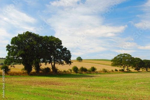 English countryside with trees, fields, blue sky, clouds