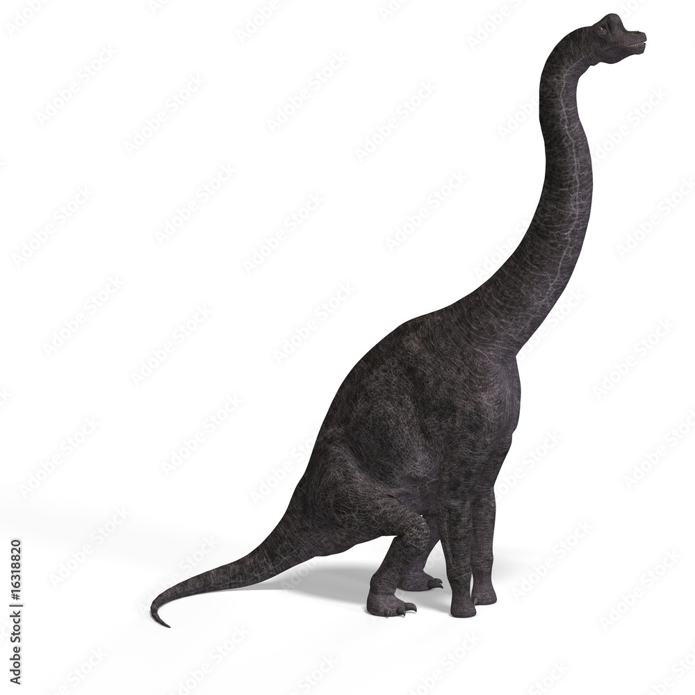 giant dinosaur brachiosaurus With Clipping Path over white giant dinosaur brachiosaurus With Clipping Path over white