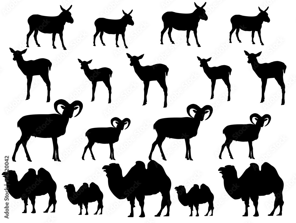 Fototapeta premium Rehkitz-Steinbock-Camel-Esel-Silhouetten