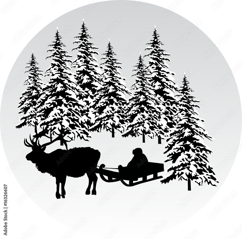 boy on sleigh in forest boy on sleigh in forest