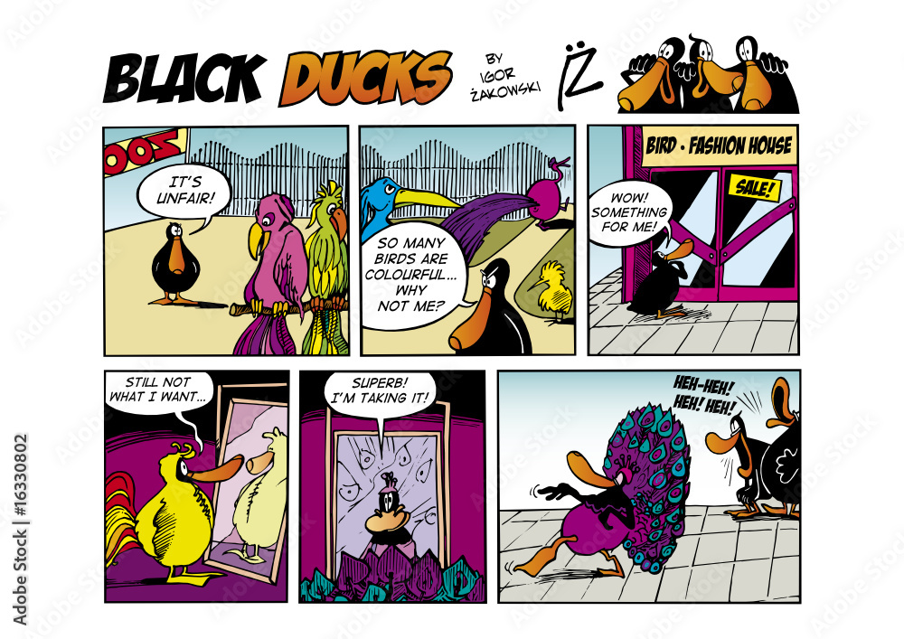 Fototapeta premium Black Ducks Comic Strip episode 10
