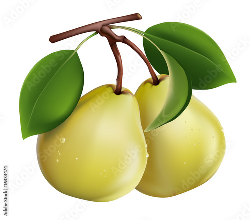 Pear with green leaves and drops of water