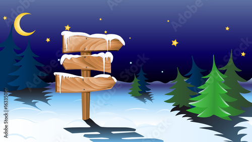 road signs in the night forest