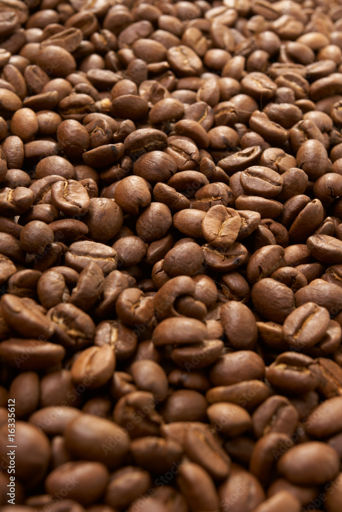coffee grain
