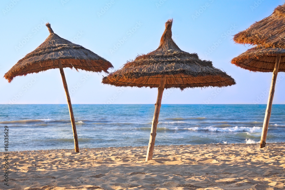 thatched sunshades on the beach