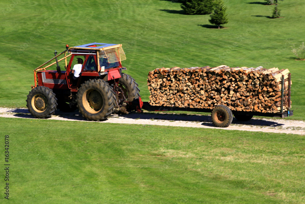 Naklejka premium Livraison de bois_2