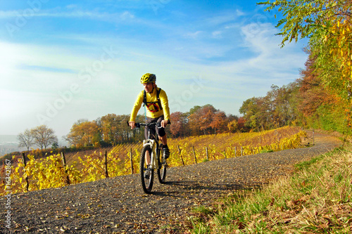 Herbst im Siebengebirge