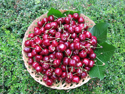 panier de fruit