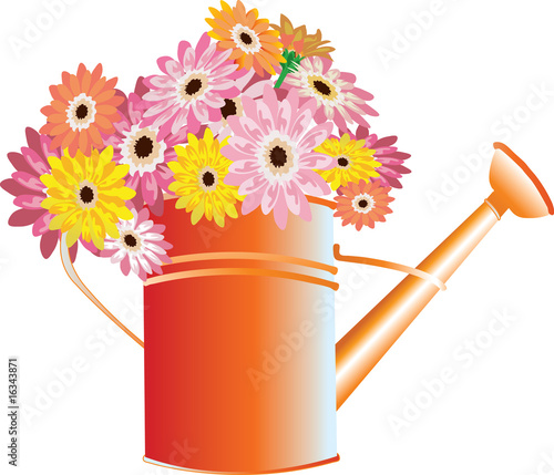 Red watering can