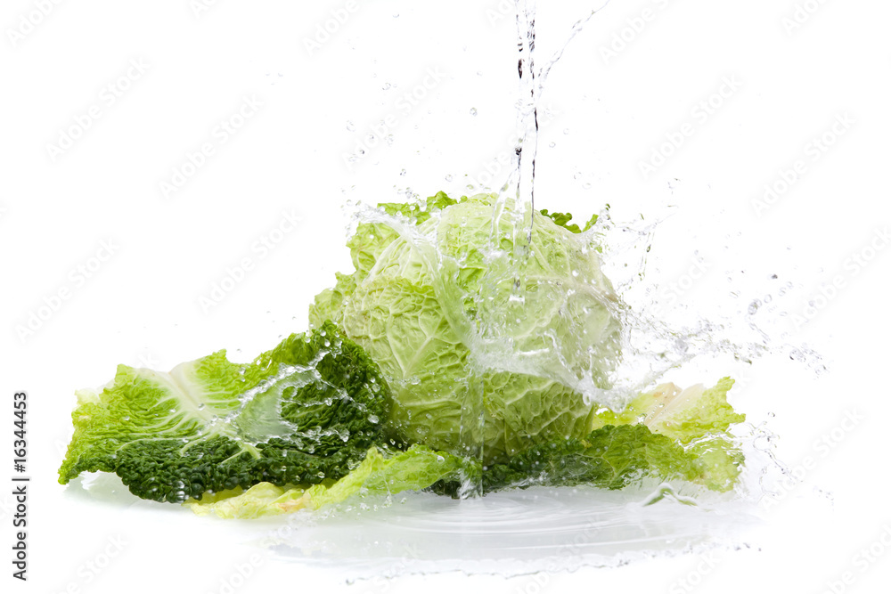 washing fresh cabbage washing fresh cabbage
