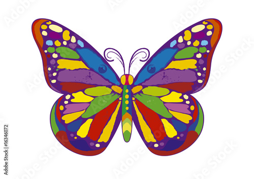 Canvas Print butterfly