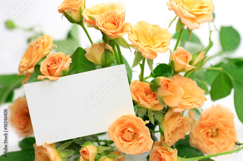 rose and message card