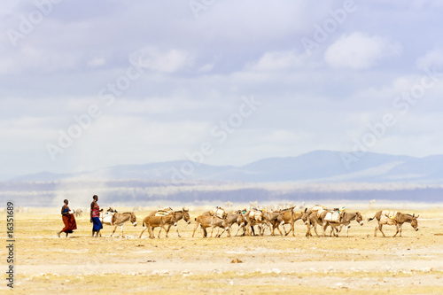 Desert merchants