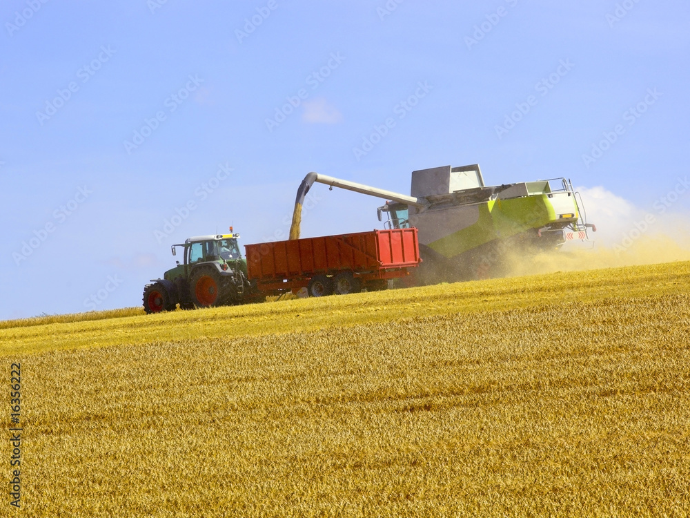 Obraz premium wolds harvesting