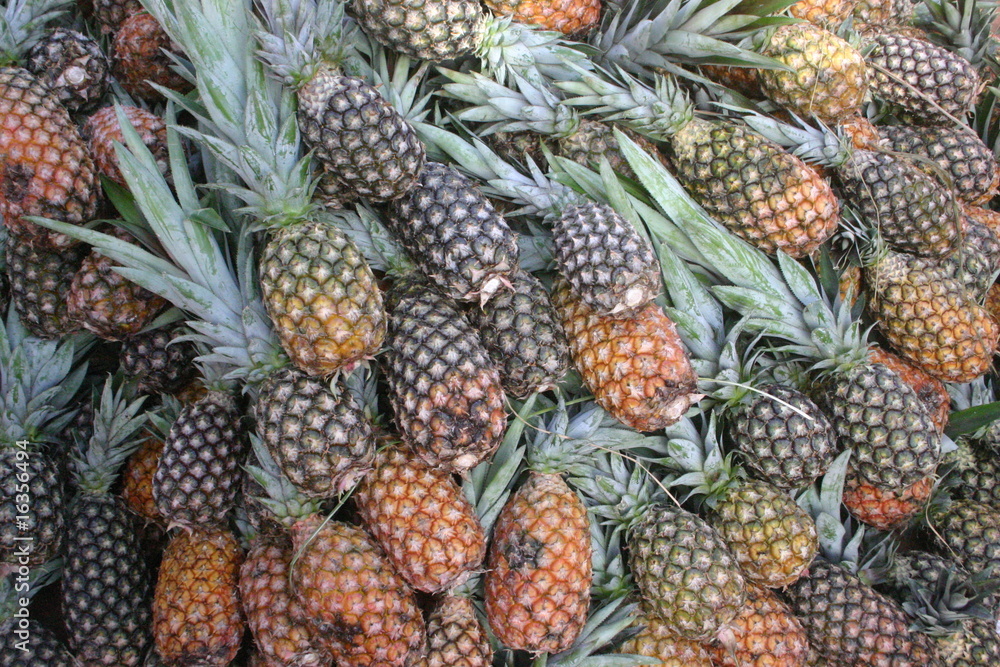 abacaxi abacaxi
