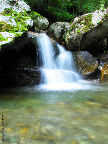 Fototapeta Naklejka Na Ścianę i Meble -  waterfall in the middle of wood
