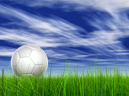 High resolution 3d soccer ball on green grass