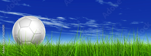 white 3d soccer ball on green grass over a natural blue sky