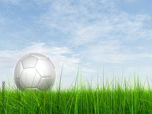 3d soccer ball on green grass over a natural blue sky