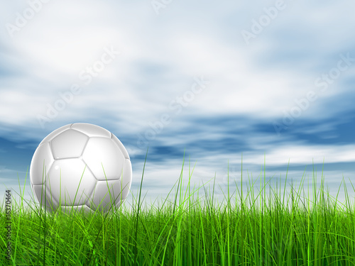 High resolution 3d soccer ball on green grass