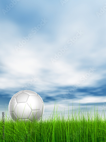 High resolution 3D white soccer ball on green grass