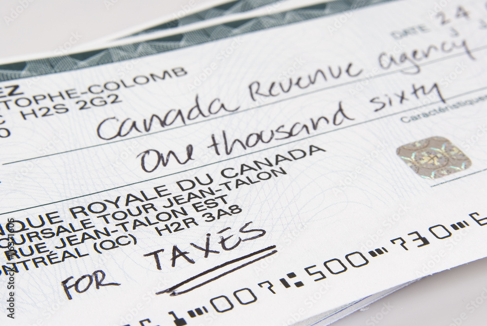 Fototapeta premium Check