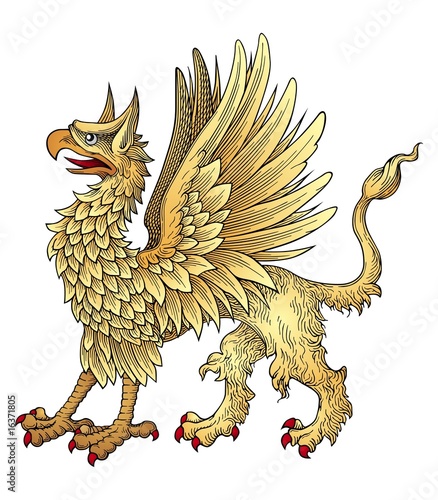 Griffin vector