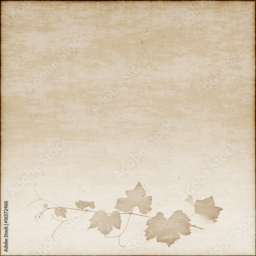 Beige background in grunge style with grapevine drawing