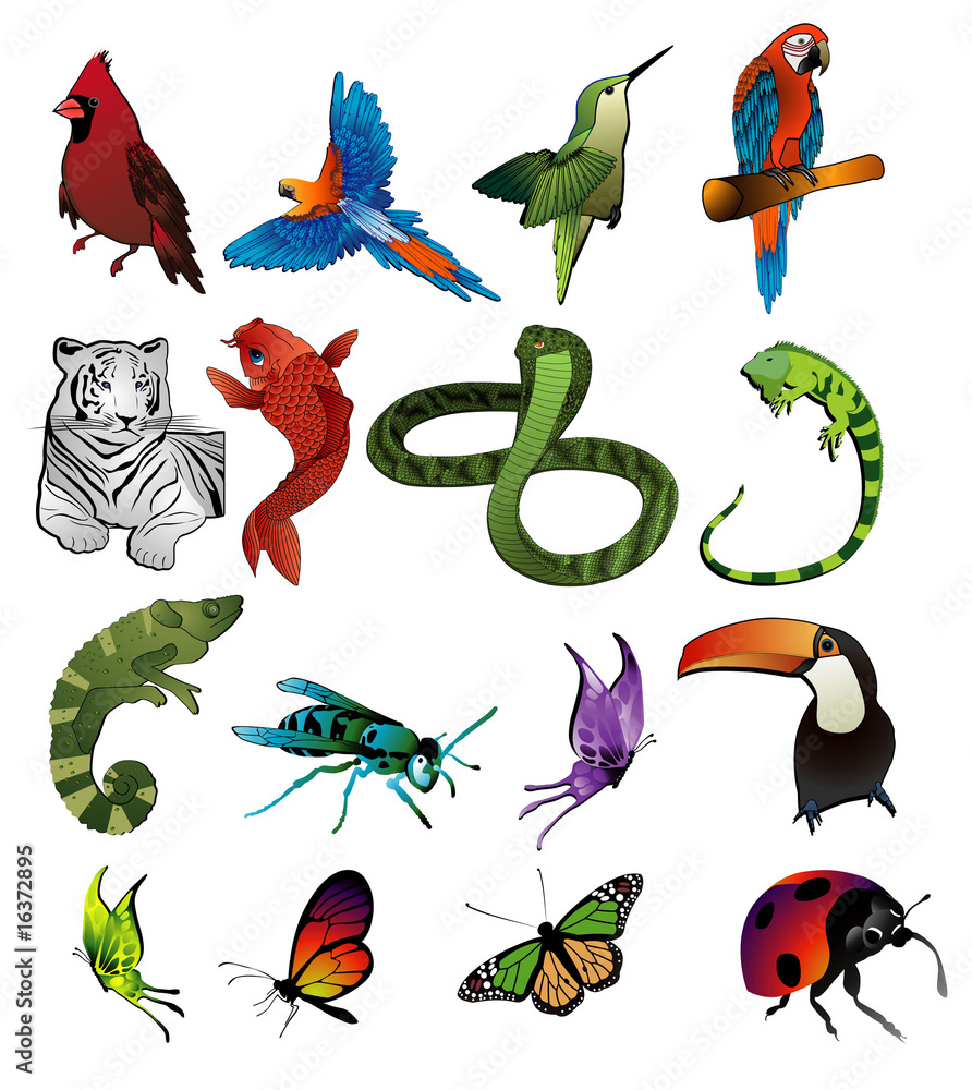 Obraz premium animales en vector