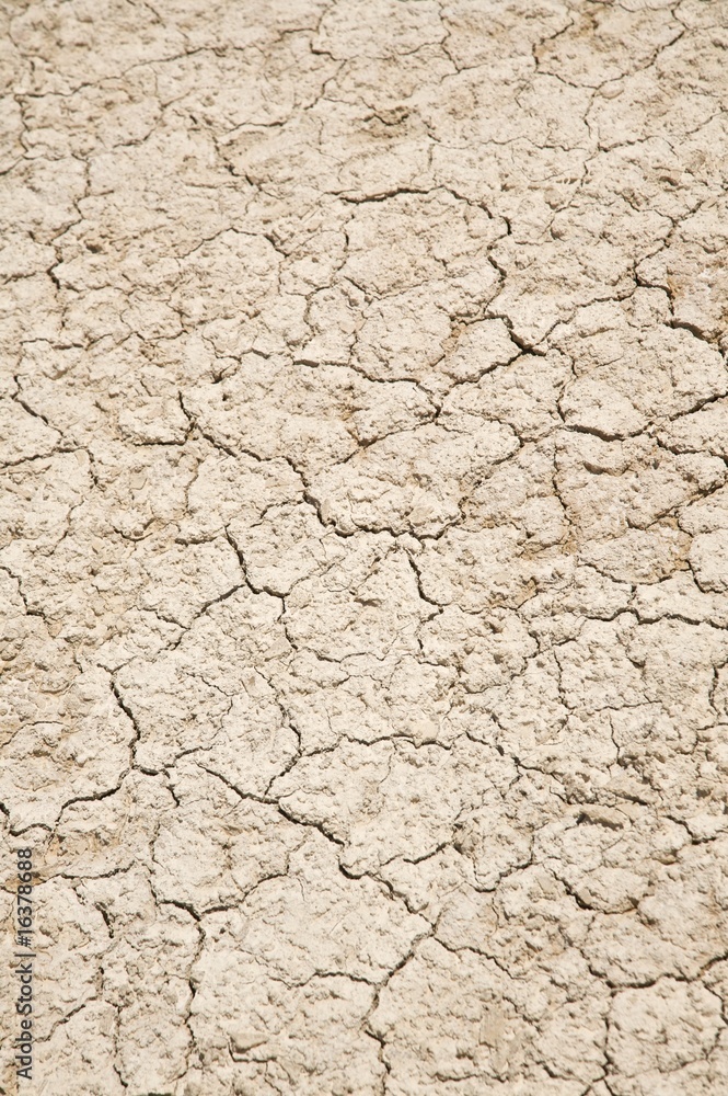 close up soil close up soil