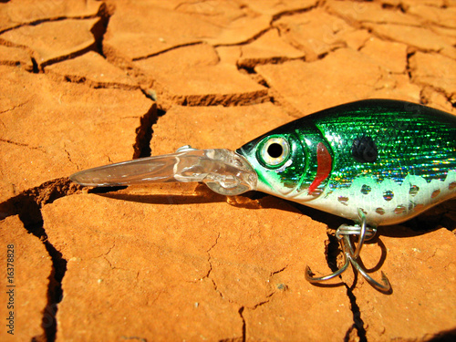 beautiful fishing bait rests crannied earth photo