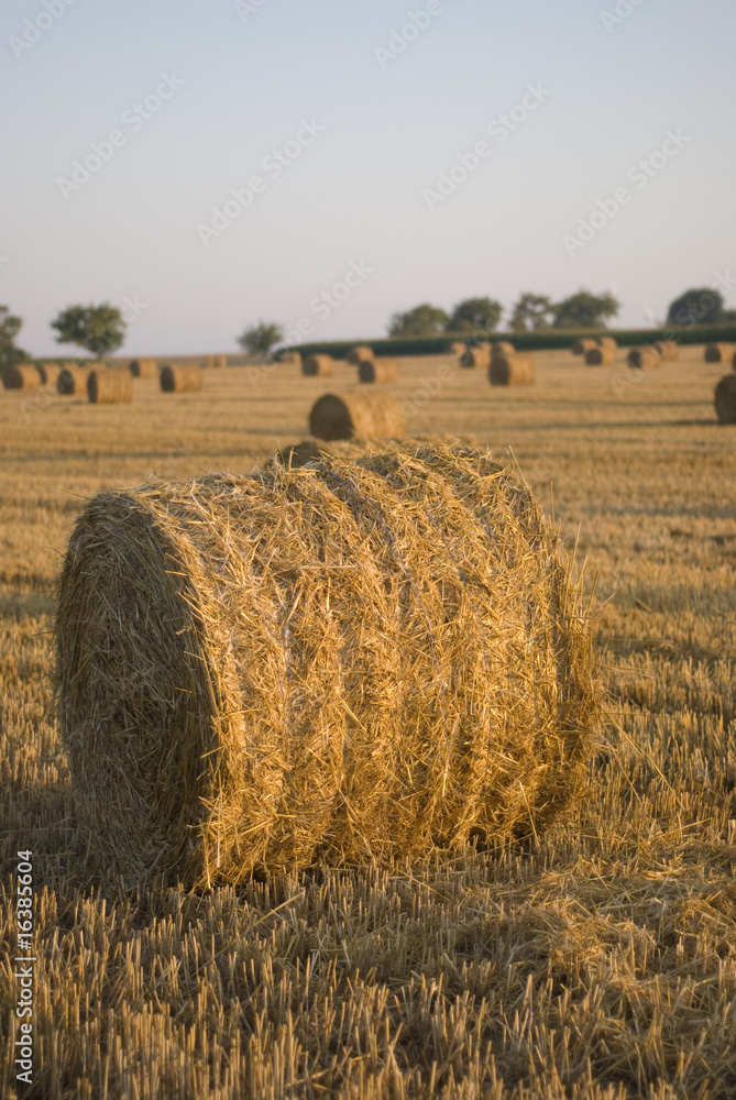 Bale of Straw in early morning