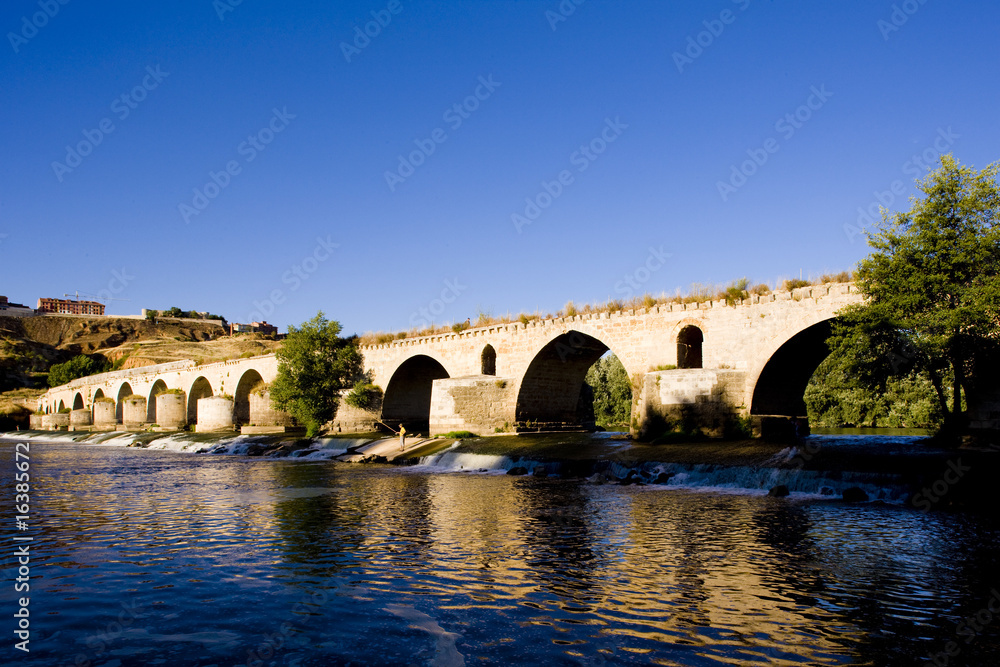 Roman bridge, Toro, Zamora Province, Castile and Leon, Spain