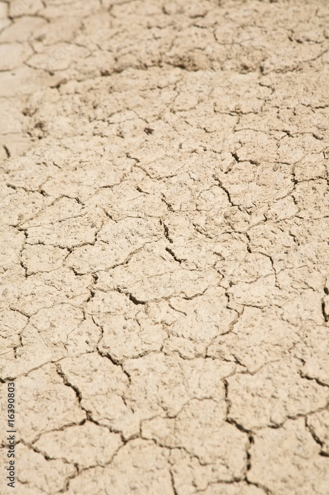 ground desert ground desert