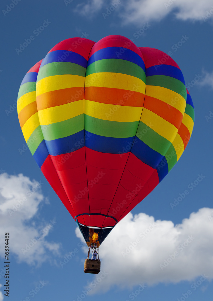Obraz premium hot air balloon