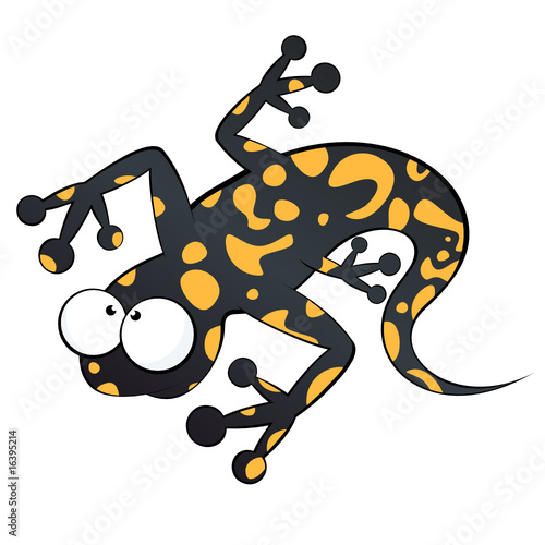 salamander eidechse cartoon lustig