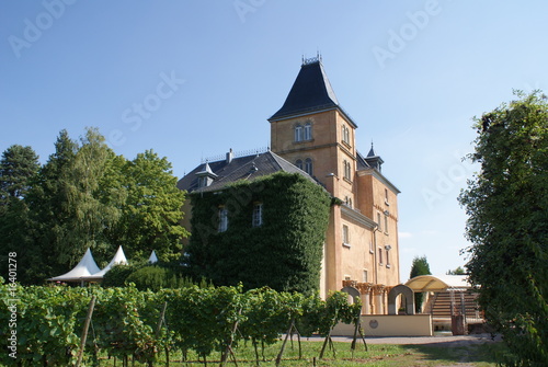 Schloss Edesheim