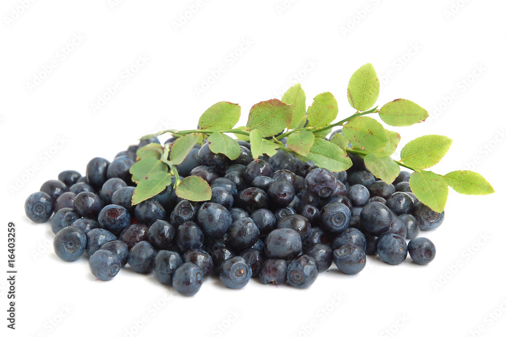 Bilberries Bilberries