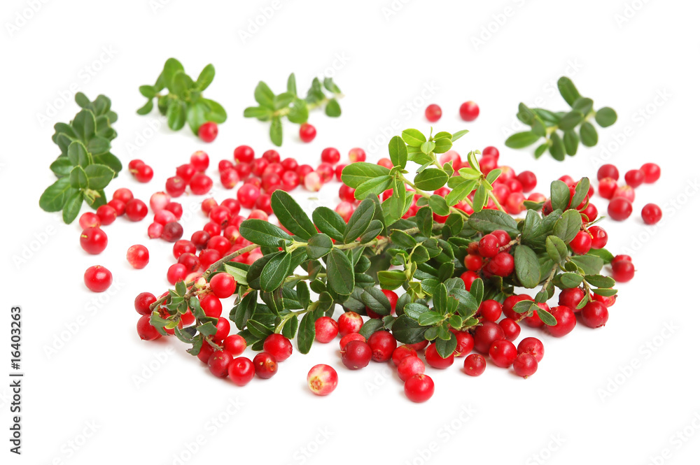 Cranberries Cranberries