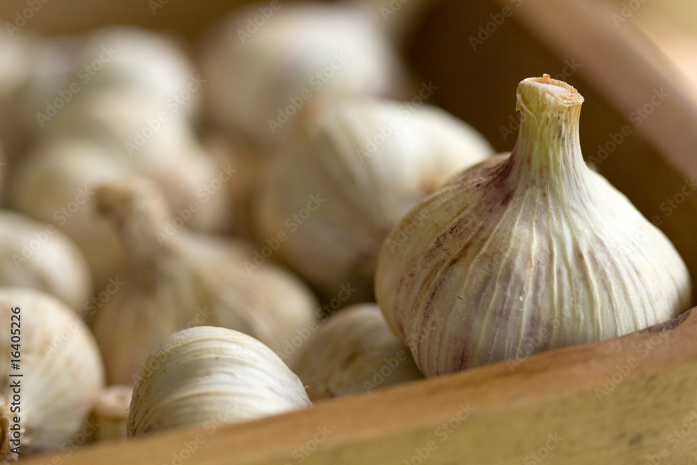 Obraz premium group of garlic in a box