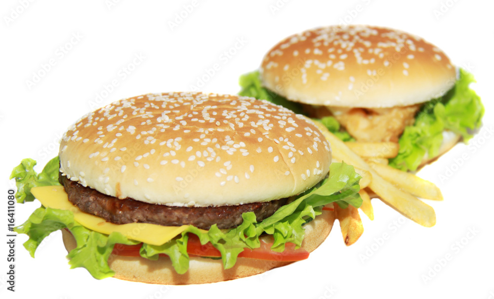 delicious cheeseburger with french fries delicious cheeseburger with french fries