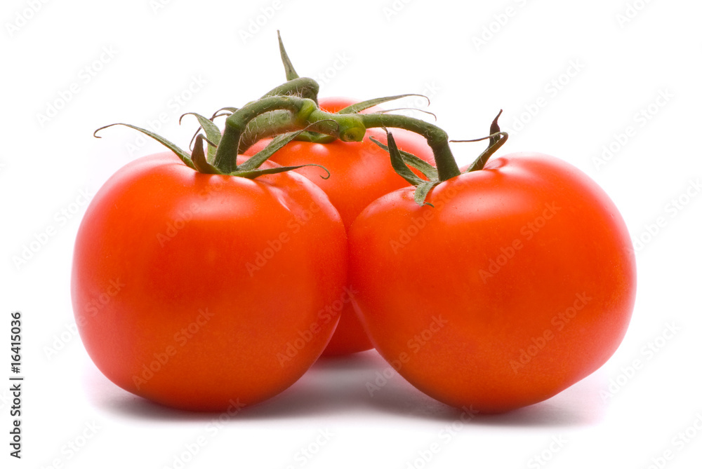 Fresh tomatoes. Macro studio isolated on white. Fresh tomatoes. Macro studio isolated on white.