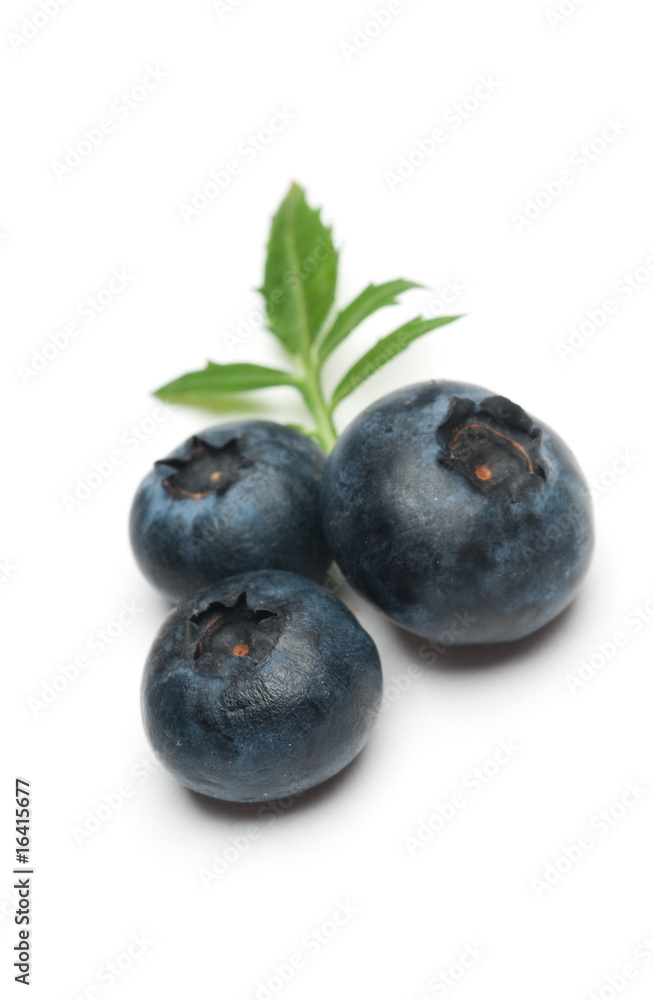 Blueberrys Blueberrys