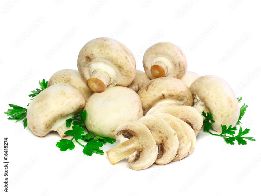 Ripe mushroom champignon with green parsley.Isolated Ripe mushroom champignon with green parsley.Isolated