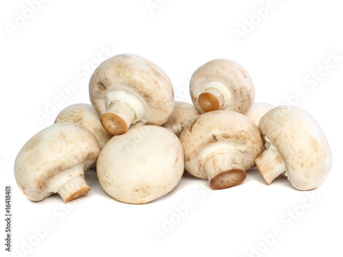 Ripe mushroom champignon .Isolated
